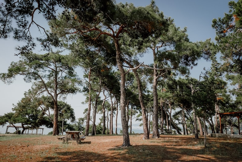 bostancı adalar bostancı adalar