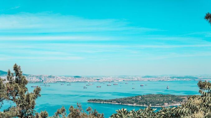 uploaded-image-bostanci-adalar-motor-1696958599204