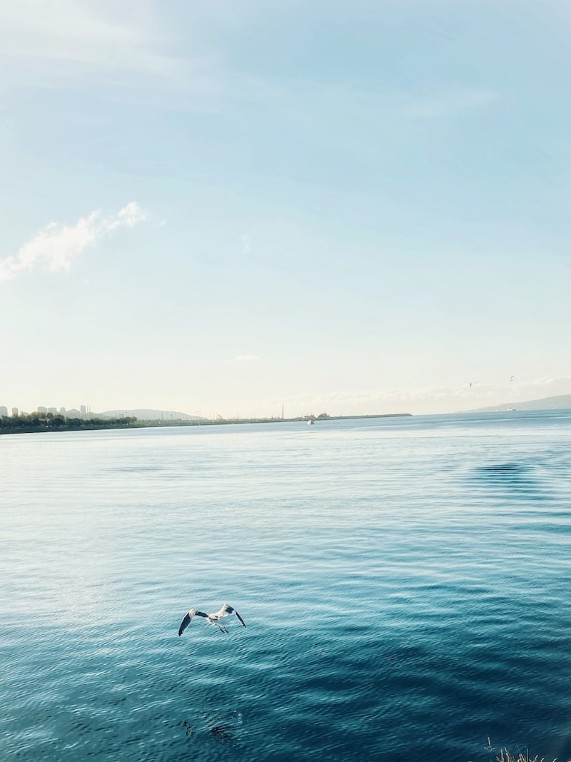 bostancı büyükada bostancı büyükada