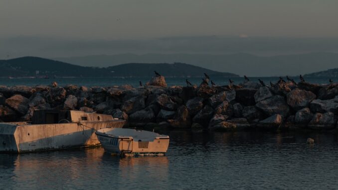 uploaded-image-bostanci-buyukada-vapur-1696958668295
