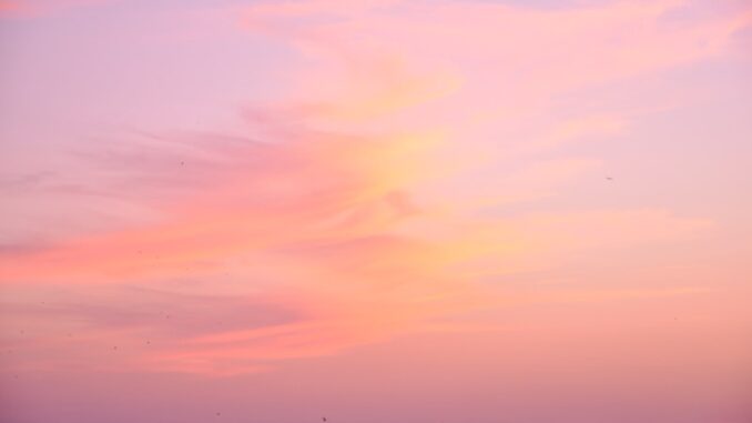 uploaded-image-bostanci-cakil-1696962274677
