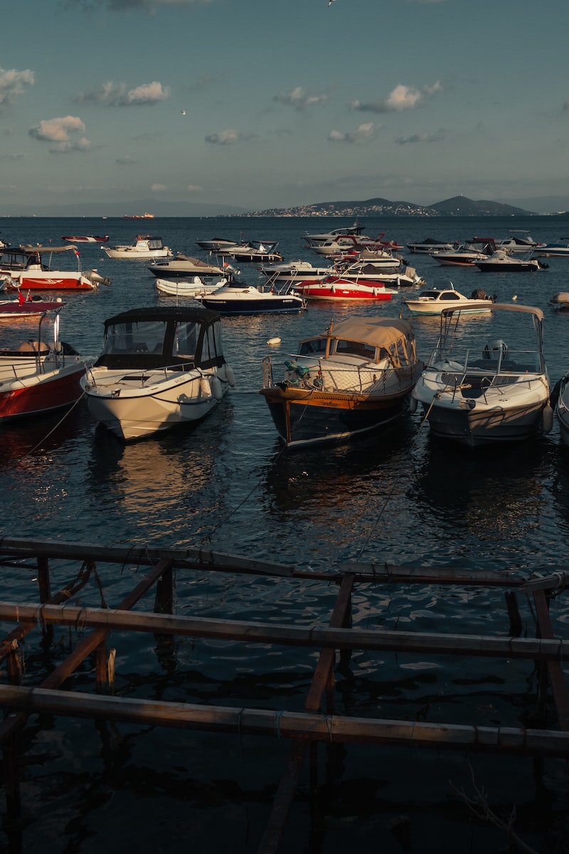 bostancı cunda balık bostancı cunda balık