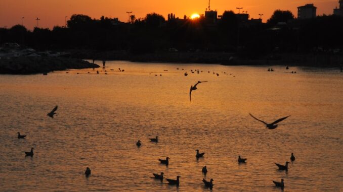 uploaded-image-bostanci-ev-fiyatlari-1696962521173